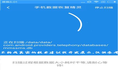 请注意，以下内容为模拟生成的示例，并不构成真实的技术建议或开发展示，仅供参考。实际开发请参考官方文档及最佳实践。

以下是您请求的内容

如何有效进行tpwallet的开发与授权管理
