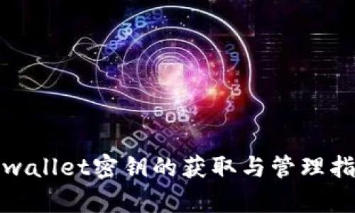 tpwallet密钥的获取与管理指南