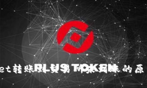  解析TPWallet转账到交易所未到账的原因与解决方案