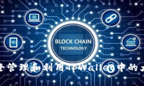 如何安全管理和利用TpWallet中的大笔资金